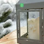 Green Chalet בית הארחה