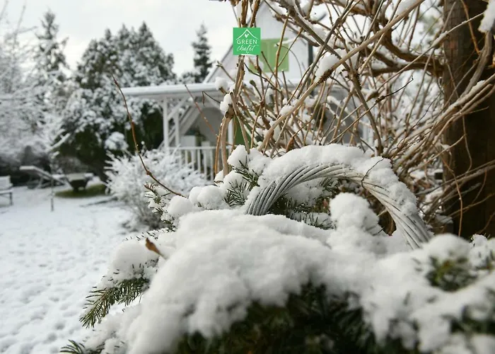 Green Chalet بيت ضيافة Veresegyház