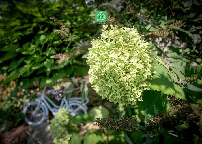 Pensión Green Chalet 3*